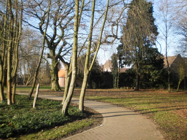 Site